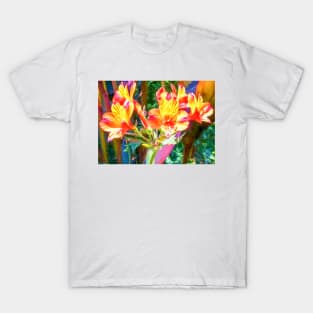 Alstroemeria Peruvian Lily Flowers T-Shirt